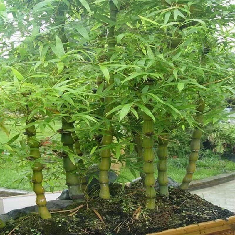 f0eab500-33cd-462c-bd87-6e427ed8337a.jpe