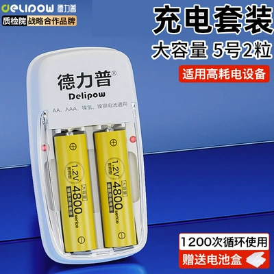 Delipu No. 5 Battery Rechargeable 4800 Kidsren's Toy Remote Control Battery No. 7 Nickel Metal Hydride Rechargeable Battery No. 5 (Hibrid akkumulyator batareyaları) - 016-standard-charger-no-5-4800-battery-2-cells
