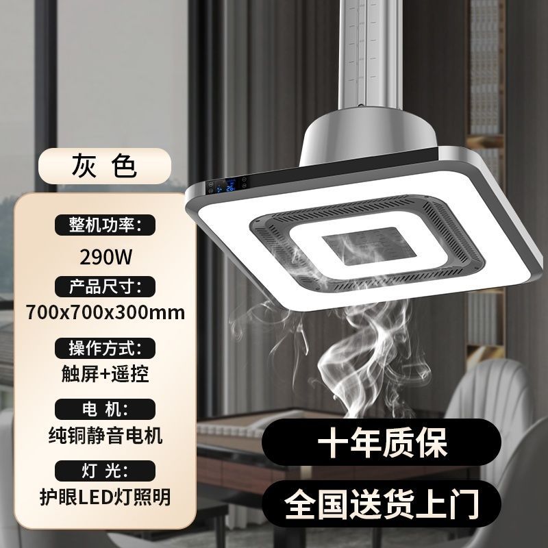 [골드 사이즈 하이파워] 다이렉트 로우 - 고급스러운 더블링 램프 - 우아한 그레이 - 설치 미포함