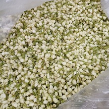 茉莉花干花香包原料可泡饮完整花瓣新茶散装批发厂家直销茉莉雪球