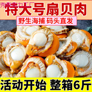 �F����ؐ���ش�̖��ؐ�����r�����ؐȫؐ������ؐ���C����ș���]