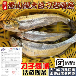 �ӳ�O����S΢ɽ�����B���N���~���r���~�F���׵����~С�חl���~