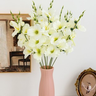 �羳 ���滨��6�^���m��c�bF؛�N�۲廨�Ҿ��bzӰ�������l