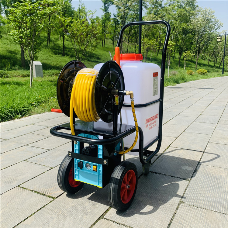 温室大棚消杀除虫喷雾器 养殖场消毒喷雾器 土豆地瓜除虫打药机