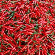 콷Ns߮aС׽N̨ļN߲˷N