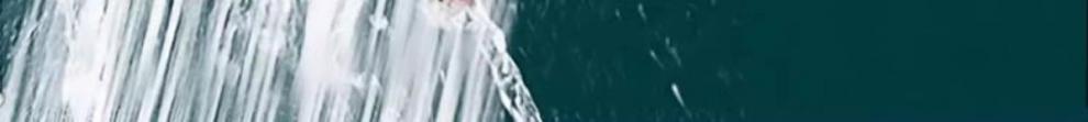 4c74680b-a651-40c6-92af-423e7b03b4b8.jpe
