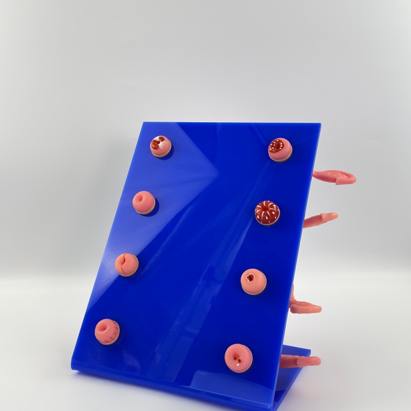 ��ѧ���� ���ƿƽ̾� ҽѧ�����ӹ�ģ�� 8�����ֲ����ӹ�����ģ��