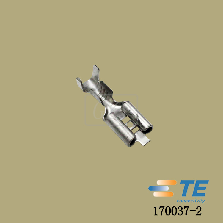 170037-2 Բ����״���� TE/̩����Ʒ������ԭ���ֻ�