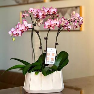 �E�A�κ����m��ޥ�m�껨�M���մ�ˇ�g���茣�ø��ֵ�ϙn��3.5��