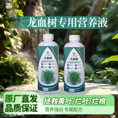 厂家供应八个老头龙血树专用营养液室内盆栽肥料花卉植物通用型