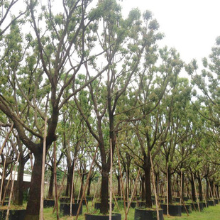 ���l��������С�� С�~������ ���U���� �괨������ ���������