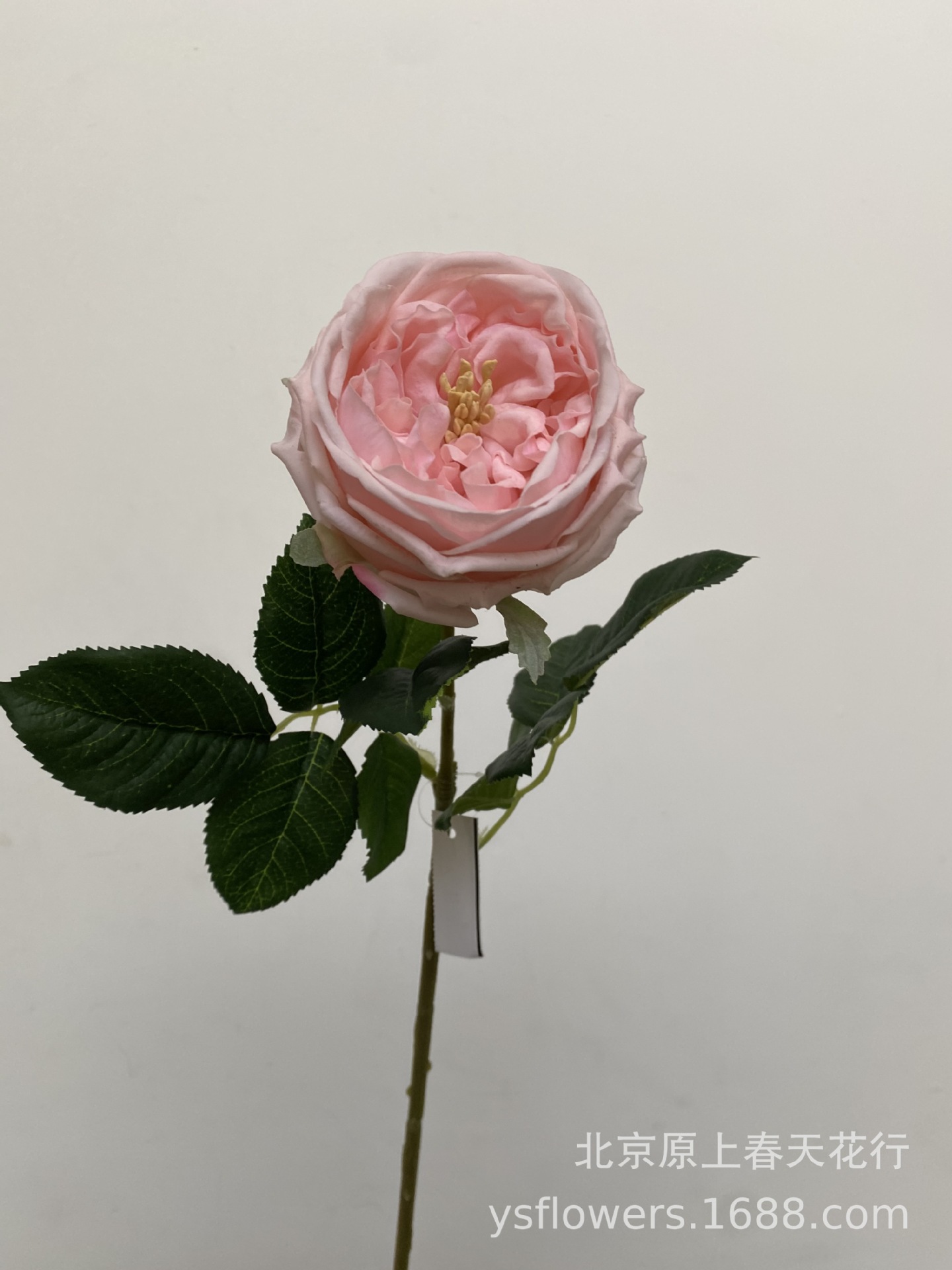 Siente artificial hidratante atin Rose Bud Core Rose temporada accesorios de tiro flor falsa planta decorativa flor falsa