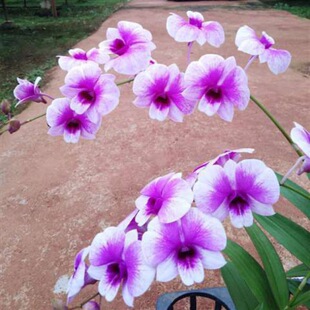 �ش��� ��īʯ���m ��ʯ�����Կ͏d�ֲ̨���҃Ȼ��ܻ����L