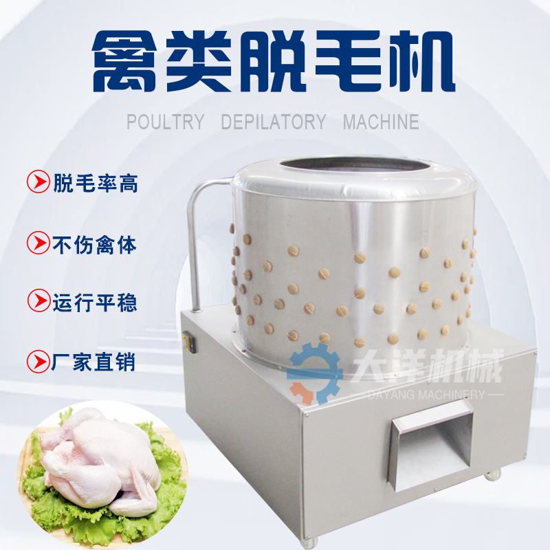大洋牌全自动脱毛机家禽除毛机电动式胶棒鸡鸭去毛机器脱鸡毛设备
