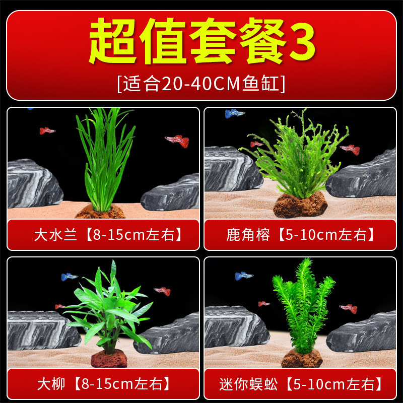 火山石水植物鱼缸净化水质懒人造景摆件全套底砂套餐性真|undefined