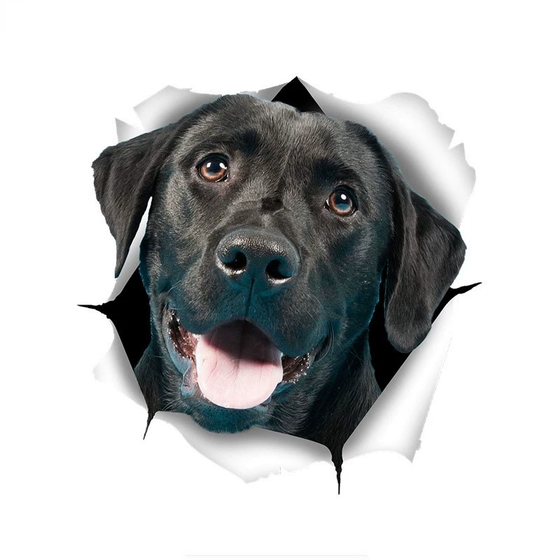 Указывает на тигра, наклейка GPS-трекинга Labrado, кошмар