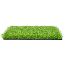 ƺƤ̺̇ݻcչ[˹ٲƤ