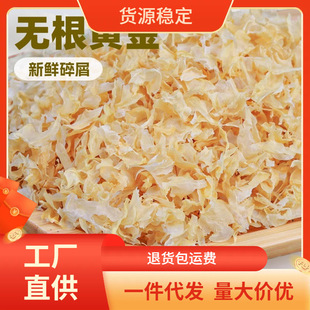 �y�����؛�����خa�д���Ƭ������zܛŴ������ֱ�N���lһ�����l