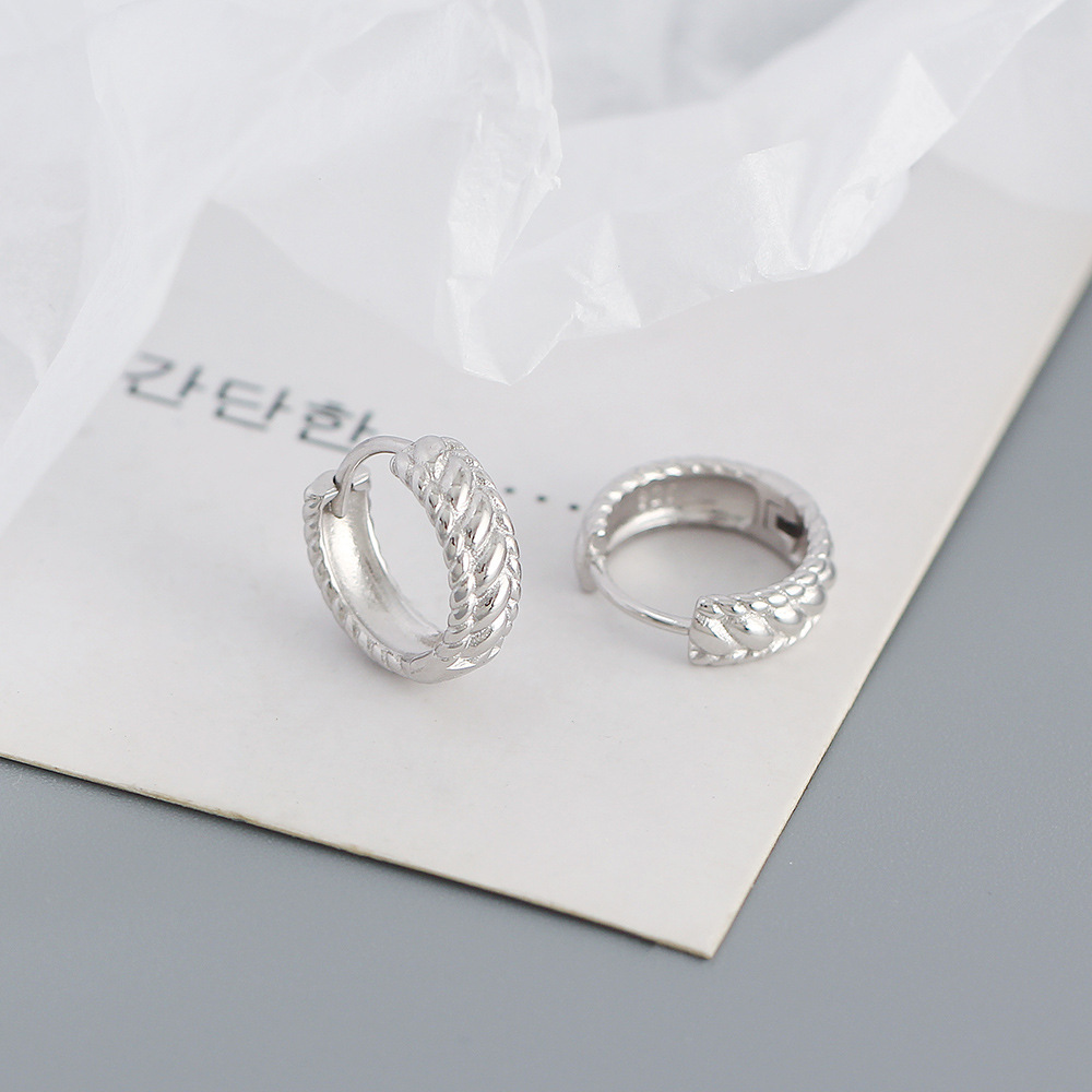 Casual Geometric Sterling Silver Plating Earrings 1 Pair