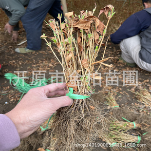 �\�������lͥԺ�ͺ��^�p��ľ�t�����\��С�����ԾG�h���煲�����