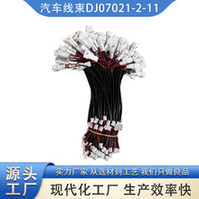 ܇DJ07021-2-11zӾĶӾ/늾Bž