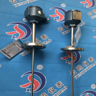 WZP2-24SAșSWZP-54iaIICT6