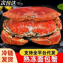 大面包蟹熟冻新鲜海鲜水产海螃蟹自助餐大号黄金蟹梭子蟹加热即食