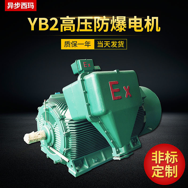 西玛电机厂 Y450-6 六极250KW 10KV F级绝缘 中型高压电动机 卧式