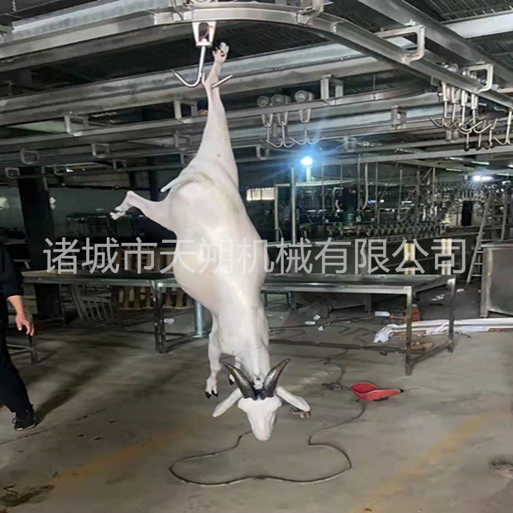 微信图片_20220108131009_副本