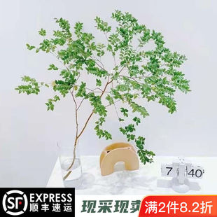 Beautiful Japanese Bellflower, a Substitute for Hydroponic Fresh-Cut Branches, Living Room Desk Decoration, Green Plants, Exclusive for Lazy People