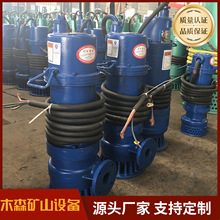 供应wqb潜污水电泵 多种规格型号隔爆潜水电机 WQB市政排污泵