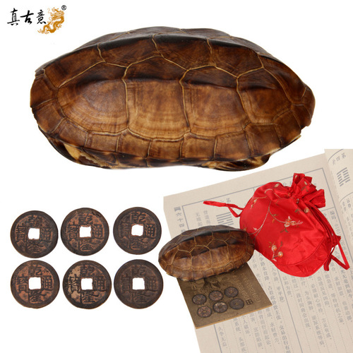IYR7 Genuine Turtle Shell Craft Tool Decor Turtle Shell Craftsmanship Turtle Shell Copper Coin Home Carry-on Items