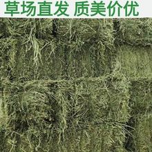 ���a�ϻ���ޣ�ݸɲ�ιţι�R�ԵĲ���ţ��ɲ���������������