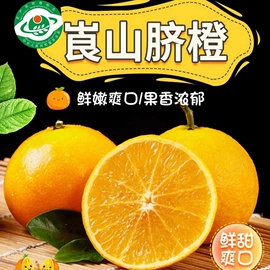 腌腊类;豆腐干;酱腌菜