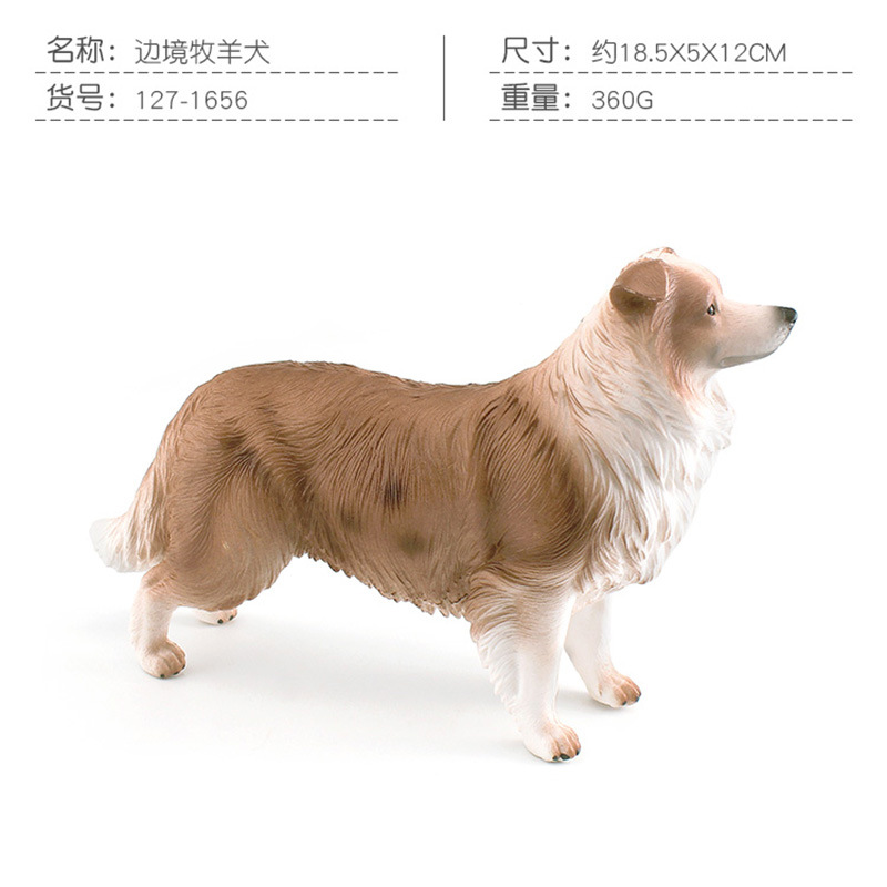 PL127-1656 border collie 360g