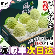 ��S�Y�� 5���P����ȹ����rˮ�������������֦���շ��^ţ�̰��]