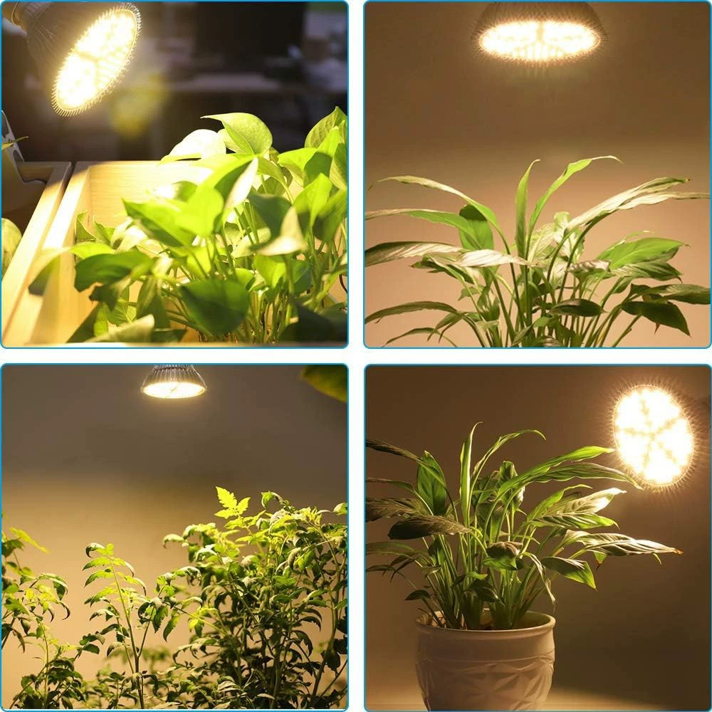Lightweight plant lamp solar-powered, LED fill light, comfortable light spectrum