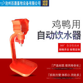 育雏饮水碗鸡鹅适用自动式家禽饮水器鸡用自动饮水器家禽