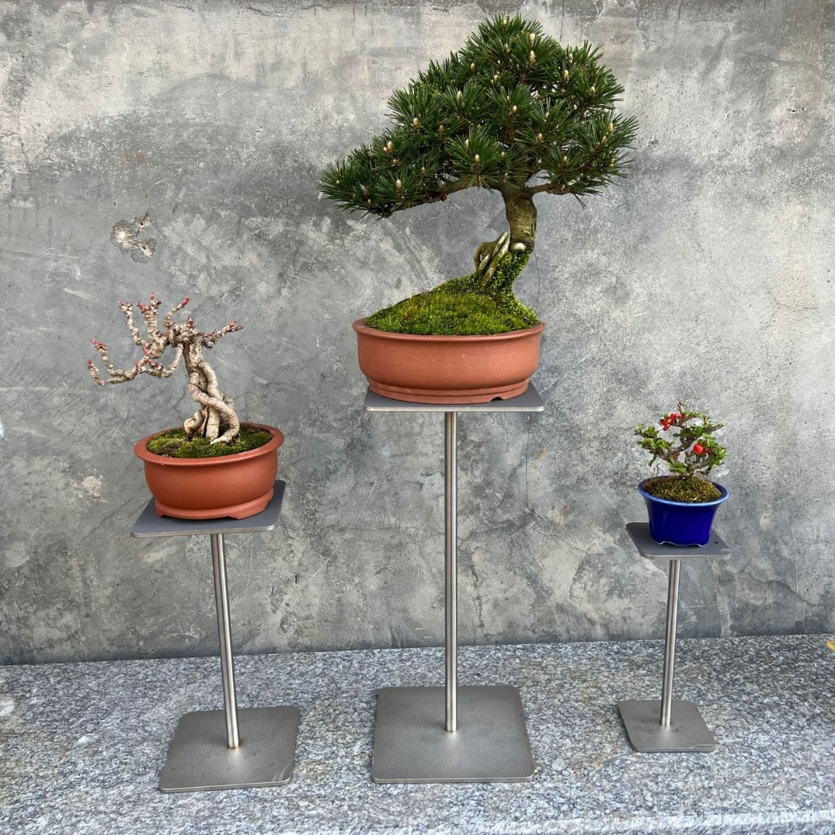 Stainless Steel Non-Slip Stand
