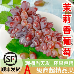 ��S������������я��Ց������rˮ���ЋD�o�Ѿ�Ʒ������l