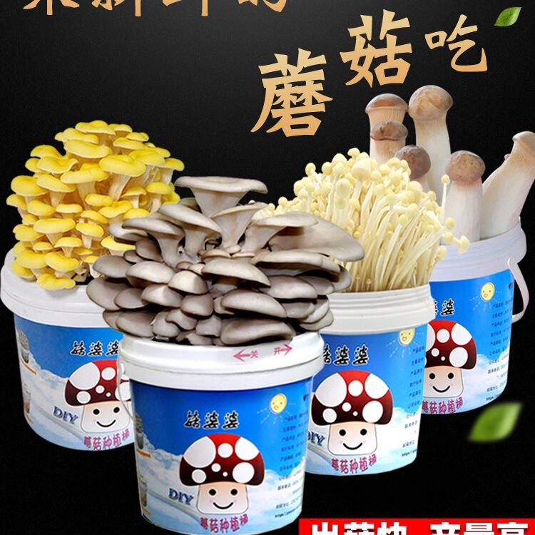 DIY Flat Mushroom Planting Mushroom Planting Bucket Edible Mushroom Mushroom Bag Family Indoor Planting Mushroom Bag