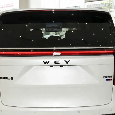 Car logo – Blue Mountain V9X Blackened Car