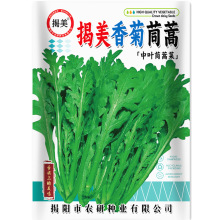 揭美香菊中叶茼蒿种子 中叶皇帝菜种子 阳台农业秋播蔬菜种子10克