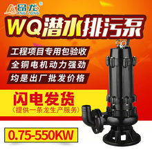 WQ污水污物一體潛水泵地下室集水坑污水泵排污增壓泵水泵耦合