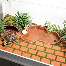 �S�������쾰�����մuС�t�u������B�������u���䁵؉|���b�Ʒ