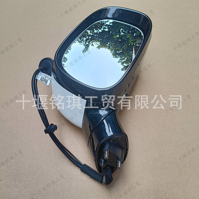 Suitable for Dongfeng Nano 01 Reversing Mirror Rearview Mirror Side Turn Signal R50007483J R50007463J