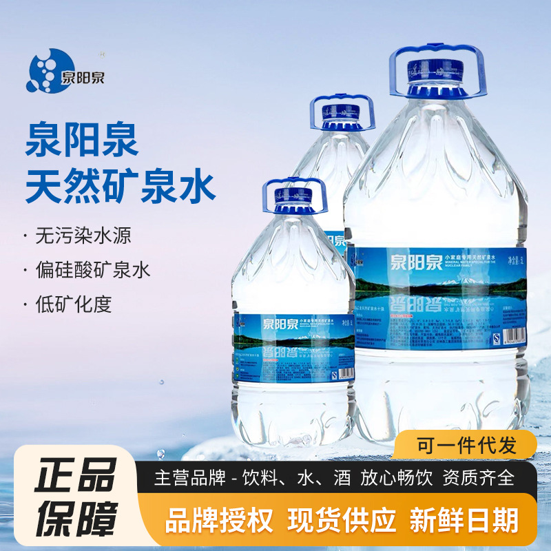 懂水就喝泉阳泉长白山天然饮用水矿泉水泉阳泉5L(1*4)