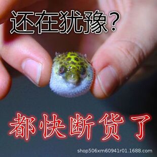 �����޺�ˮ�����^�p�~�����õ�ˮ�B�ɐ۴��ȟo��