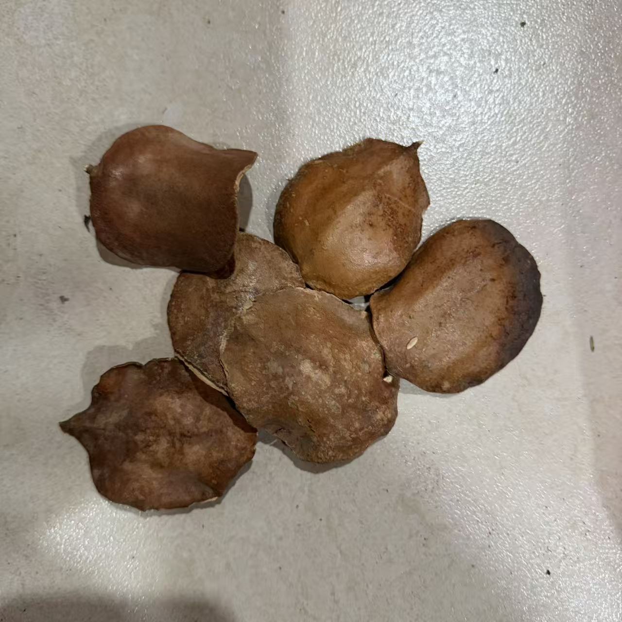 Espalda de tortuga