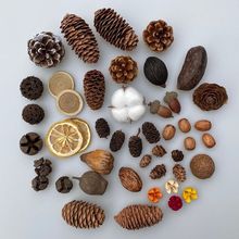 ˱ֲɹľƬ~ɻɹMbbС[͹յ